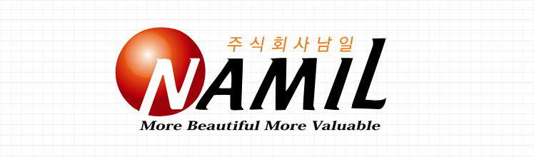 남일